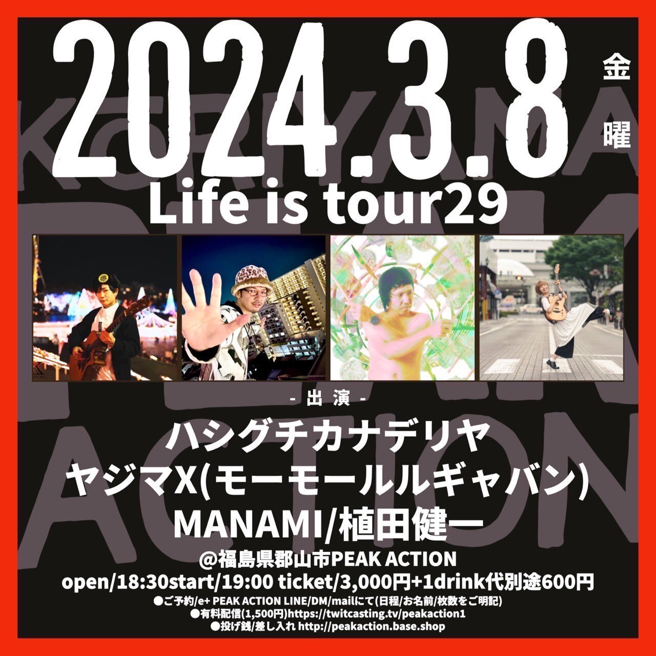 ハシグチカナデリヤLife is tour 29